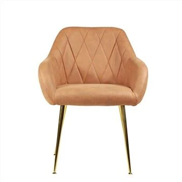 Dining Chair Nrog Kub Painting Hlau Ob txhais ceg