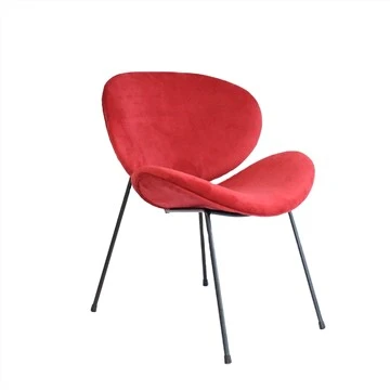 Niaj hnub nimno Appearance Fabric Leisure Chair nrog hlau ceg
